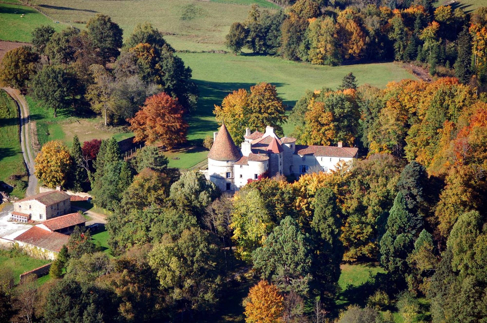 Chateau Des Martinanches Saint-Dier-d'Auvergne Bagian luar foto