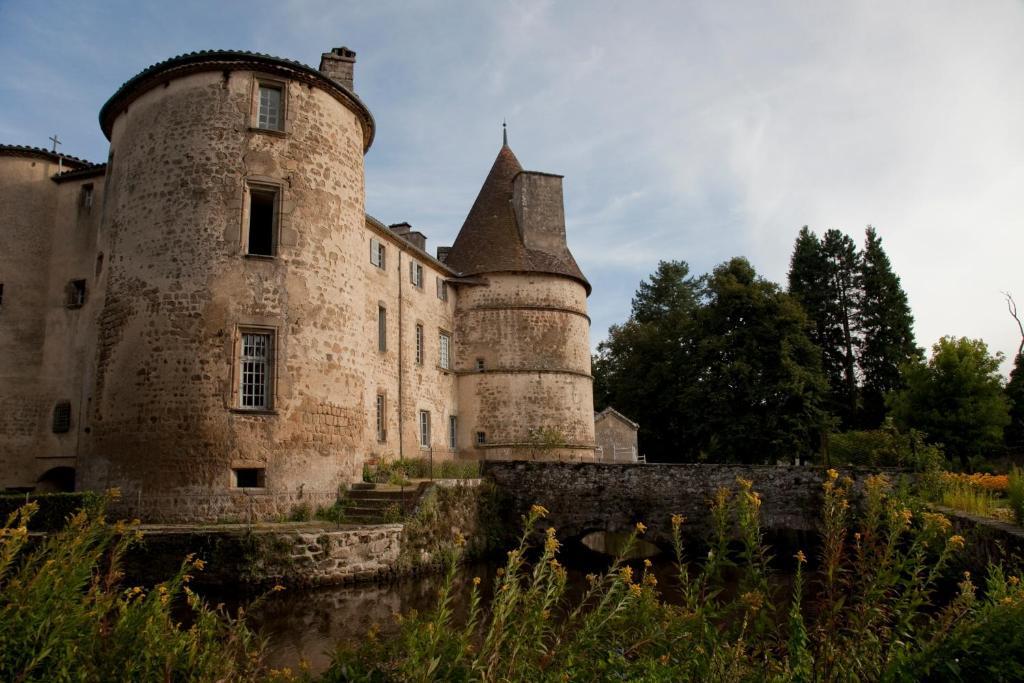 Chateau Des Martinanches Saint-Dier-d'Auvergne Bagian luar foto