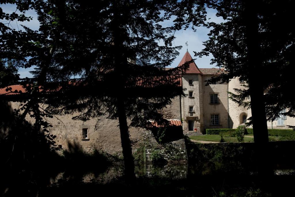 Chateau Des Martinanches Saint-Dier-d'Auvergne Bagian luar foto