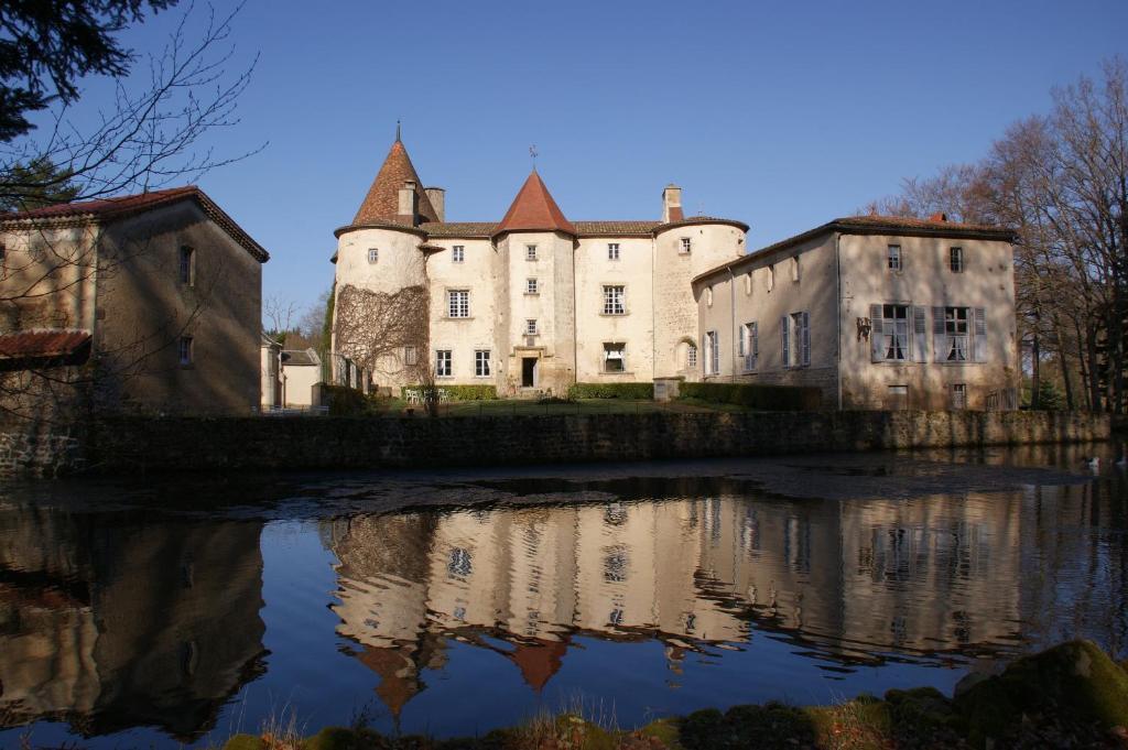 Chateau Des Martinanches Saint-Dier-d'Auvergne Bagian luar foto