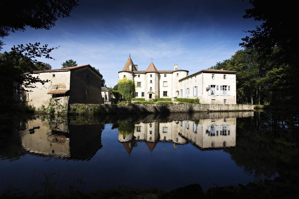 Chateau Des Martinanches Saint-Dier-d'Auvergne Bagian luar foto